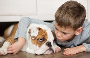 There’s Now Hope for Dogs and Kids with Lafora Disease There's Now Hope for Dogs and Kids with Lafora Disease