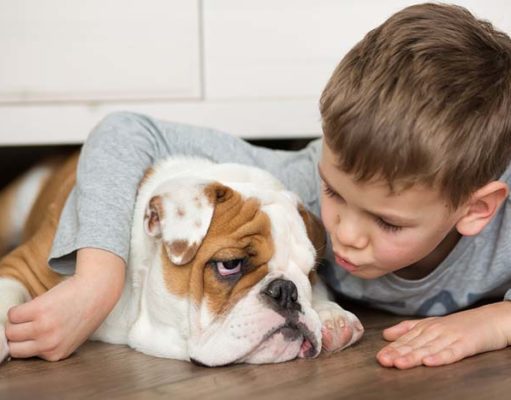 There’s Now Hope for Dogs and Kids with Lafora Disease There's Now Hope for Dogs and Kids with Lafora Disease