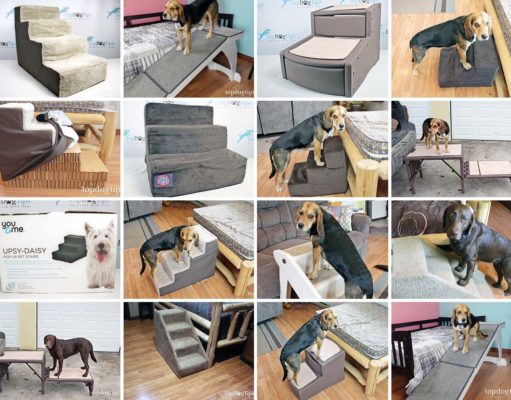 Top 15 Best Dog Stairs (Updated 2023) Top 15 Best Dog Stairs for Beds and Cars in 2020