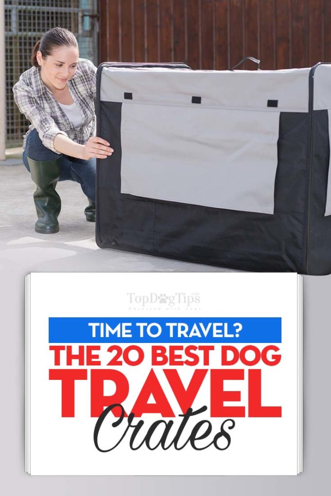 Top 20 Best Dog Travel Crates in 2020 for Long and Short Distance Trips