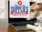 35 Best Dog Supplies Deals Websites Top 35 Best Dog Supplies Deals Websites
