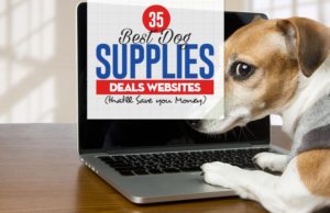 35 Best Dog Supplies Deals Websites Top 35 Best Dog Supplies Deals Websites