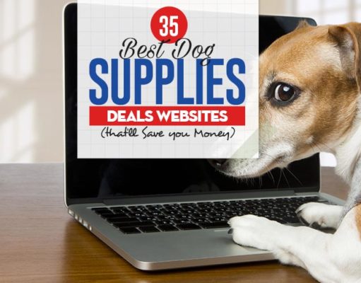 cheap dog supplies