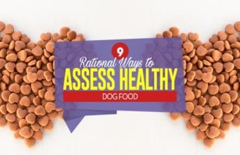9 Rational Ways to Assess Healthy Dog Food Top 9 Rational Ways to Assess Healthy Dog Food