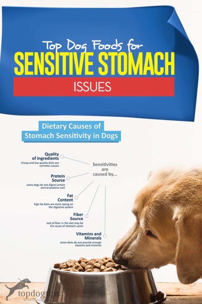 Picture of The Best Dog Food for Dogs with Sensitive Stomachs