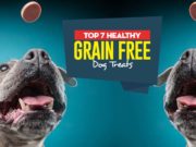 Top 7 Best Grain Free Dog Treats Top Best Grain Free Dog Treats