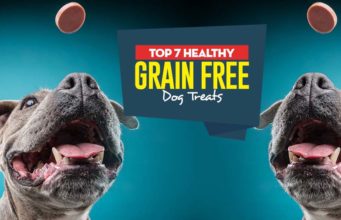 Top 7 Best Grain Free Dog Treats Top Best Grain Free Dog Treats