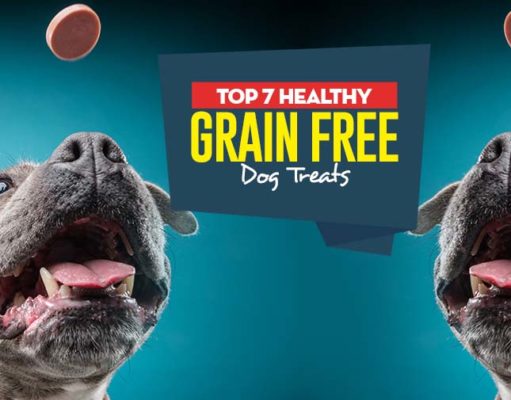 Top 7 Best Grain Free Dog Treats Top Best Grain Free Dog Treats