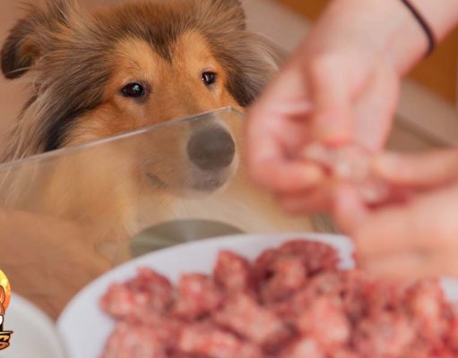 TOP #26: Who Benefits from Homemade Dog Food the Most Who Benefits from Homemade Dog Food the Most