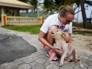 Woman Saves Hundreds of Dogs Left to Die on ‘Dead Dog Beach’ Woman Saves Hundreds of Dogs Left to Die on 'Dead Dog Beach'