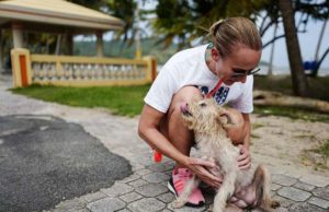 Woman Saves Hundreds of Dogs Left to Die on ‘Dead Dog Beach’ Woman Saves Hundreds of Dogs Left to Die on 'Dead Dog Beach'