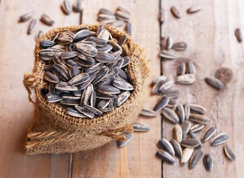 Are sunflower seeds good for dogs