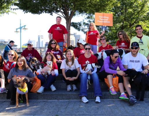 30 Best Animal Shelters That Make America Proud Best Animal Shelters
