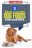 Picture of Best Dog Food for Mastiffs: Top 10 Vet-Recommended Brands
