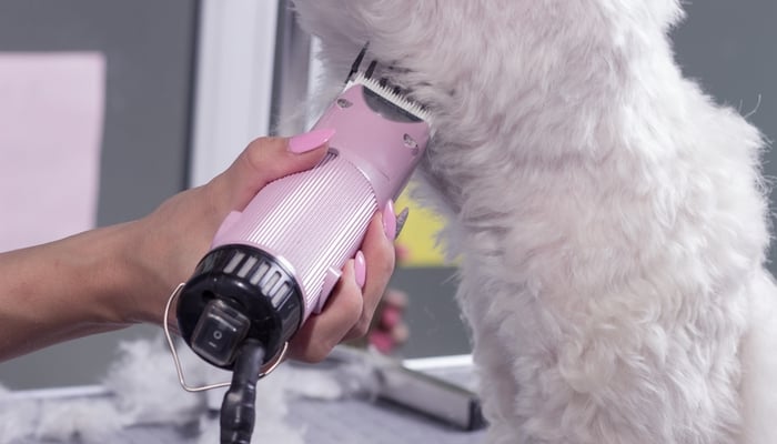 what is the quietest dog clipper