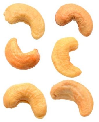 Cashews and Dogs: Can Dogs Eat Cashews and How Much?