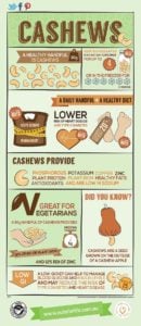 Cashews and Dogs: Can Dogs Eat Cashews and How Much?