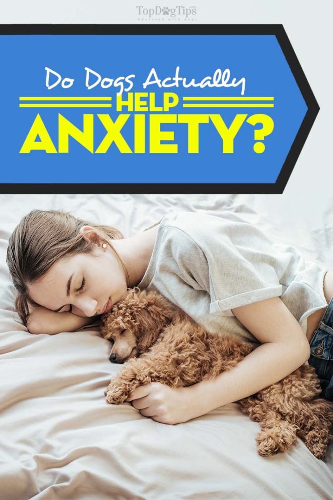 Do Dogs Help Anxiety Here S What You Must Know Before Adopting