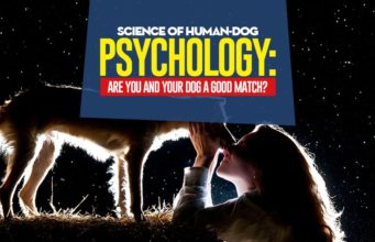 Science of Human-Dog Psychology: Are You and Your Dog a Good Match? Human-Dog Psychology Science