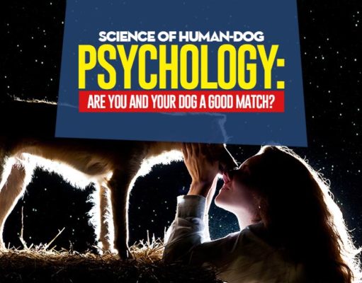 Science of Human-Dog Psychology: Are You and Your Dog a Good Match? Human-Dog Psychology Science