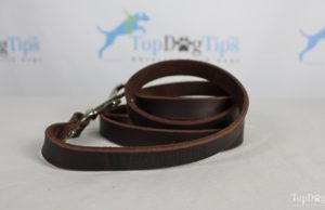 Giveaway: 6-Foot Leatherberg Dog Leash ($35 Value) Leatherberg Leash Giveaway