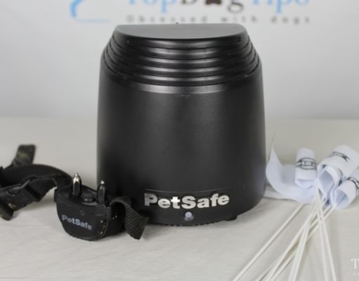 Review: PetSafe Stay & Play Wireless Pet Fence PetSafe Stay & Play Wireless Pet Fence System