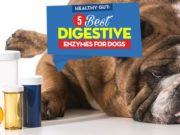 Top 5 Best Digestive Enzymes for Dogs The 5 Best Digestive Enzymes for Dogs