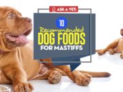 Best Dog Food for Mastiffs: 10 Vet-Recommended Brands The Best Dog Food for Mastiffs