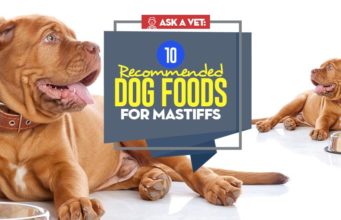 Best Dog Food for Mastiffs: 10 Vet-Recommended Brands The Best Dog Food for Mastiffs