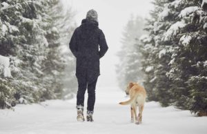 9 Safety Tips for Walking Dogs In Winter Tips for Walking Dogs In Winter