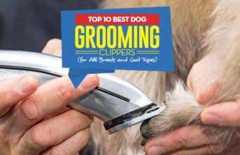 Top 10 Best Dog Grooming Clippers Top 10 Best Dog Grooming Clippers For All Breeds and Coat Types
