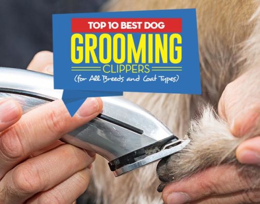 Top 10 Best Dog Grooming Clippers Top 10 Best Dog Grooming Clippers For All Breeds and Coat Types