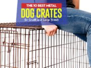 Top 10 Best Metal Dog Crates for Small and Large Breeds Top 10 Best Metal Dog Crates for Small and Large Breeds