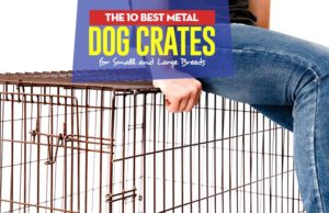 Top 10 Best Metal Dog Crates for Small and Large Breeds Top 10 Best Metal Dog Crates for Small and Large Breeds