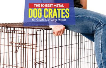Top 10 Best Metal Dog Crates for Small and Large Breeds Top 10 Best Metal Dog Crates for Small and Large Breeds