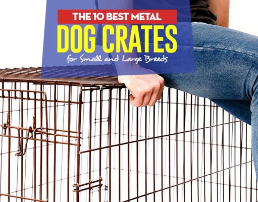 Top 10 Best Metal Dog Crates for Small and Large Breeds Top 10 Best Metal Dog Crates for Small and Large Breeds
