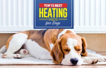 Top 10 Best Dog Heating Pads Top 12 Best Heating Pads for Dogs
