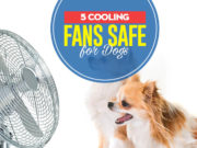 The Best Dog Cooling Fans for Home Top 5 Best Dog Cooling Fans for Home