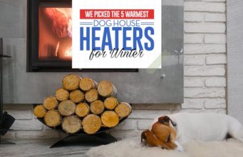 Top 5 Best Dog House Heaters for Winter Top 5 Best Dog House Heaters for Winter