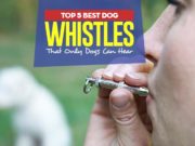 Top 5 Best Dog Whistles for Training Top 5 Best Dog Whistles That Only Dogs Can Hear