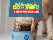 Best Dog Food for Cocker Spaniels: 8 Vet Recommended Brands Top Best Dog Foods for Cocker Spaniels