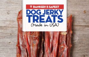 5 Best Dog Jerky Treats in 2022 (Made in USA) Top Best Dog Jerky Treats