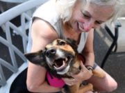 Dog Lost In Florida Turns Up In New York – Help Needed to Get Her Back Home Dog Lost In Florida Turns Up In New York – Help Needed to Get Her Back Home
