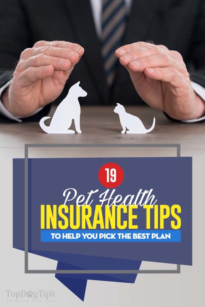 Infographic: 19 Pet Health Insurance Tips to Pick the Best Provider & Plan
