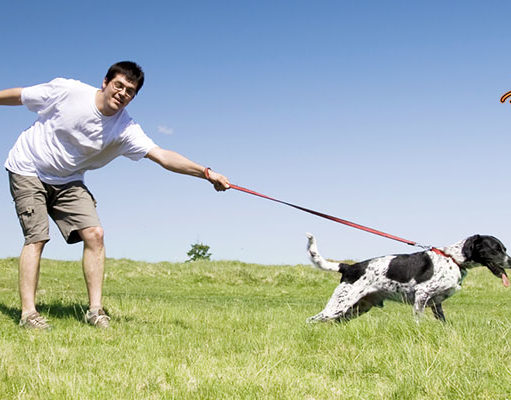TOP #30: Are Online Dog Training Courses Worth the Cost? Are Online Dog Training Courses Worth the Cost