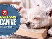 20 Best Dog Books on Canine Health and Care Best Dog Books on Canine Health and Care