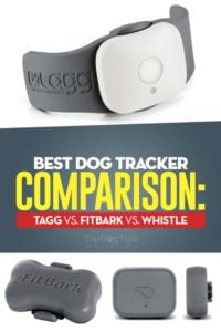 Best Dog Tracker Comparison - Tagg vs FitBark vs Whistle