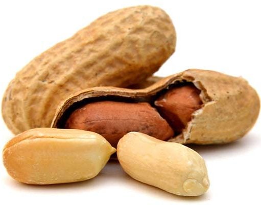 Can Dogs Eat Peanuts or Are Peanuts Bad for Dogs? Can Dogs Eat Peanuts or Are Peanuts Bad for Dogs