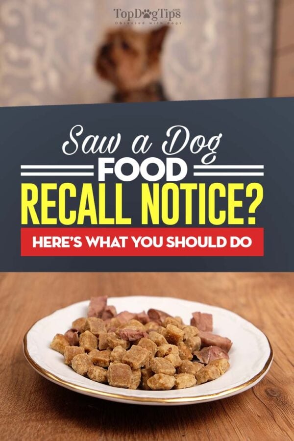 Amazing Dog Food Recalled In Uk After Reports Of Pets Losing Their Sight Photo for Desktop Amazing Dog Food Recalled In Uk After Reports Of Pets Losing Their Sight Photo for Desktop