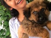 Every Anniversary This Couple Adopts a Dog Every Aniversary Couple Adopts a Dog